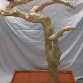 Special order tree